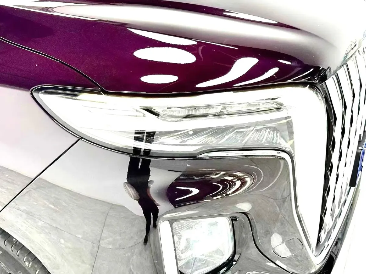 2023 HongQi HQ9 2.0T 252HP L4 8AT,autocango,china used car exporter,china ev exporter,chinese used car exporter,chinese used ev exporter