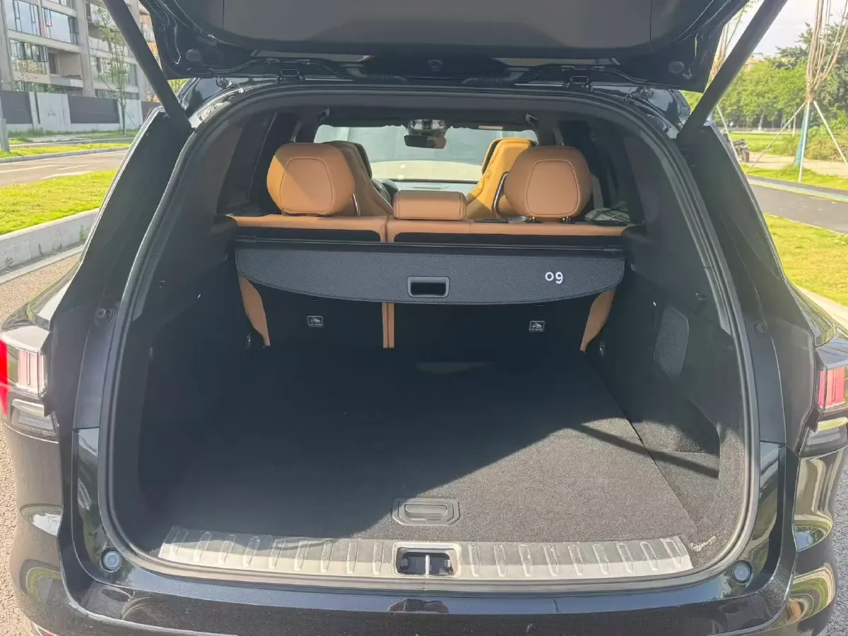 2024 LYNK&CO 09 2.0T 254HP L4 8AT,autocango,china used car exporter,china ev exporter,chinese used car exporter,chinese used ev exporter