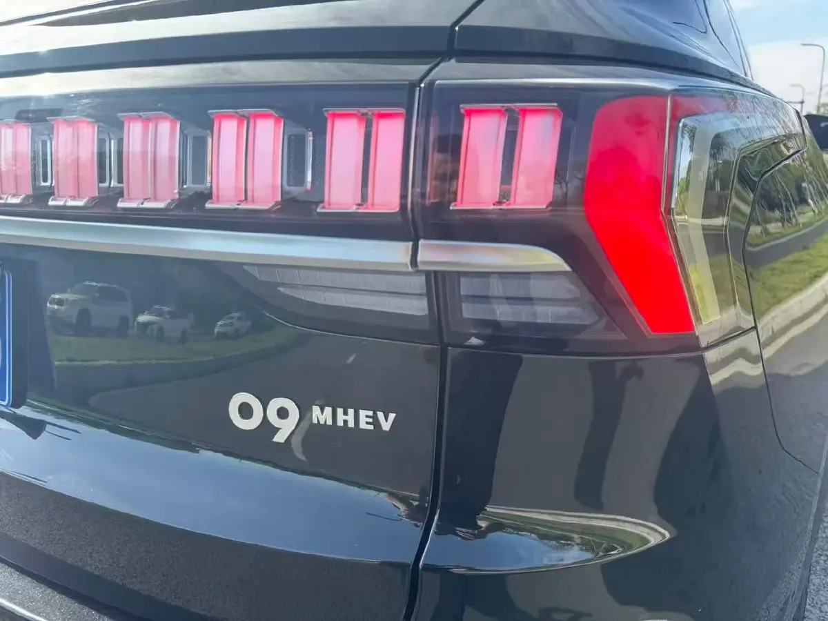 2024 LYNK&CO 09 2.0T 254HP L4 8AT,autocango,china used car exporter,china ev exporter,chinese used car exporter,chinese used ev exporter