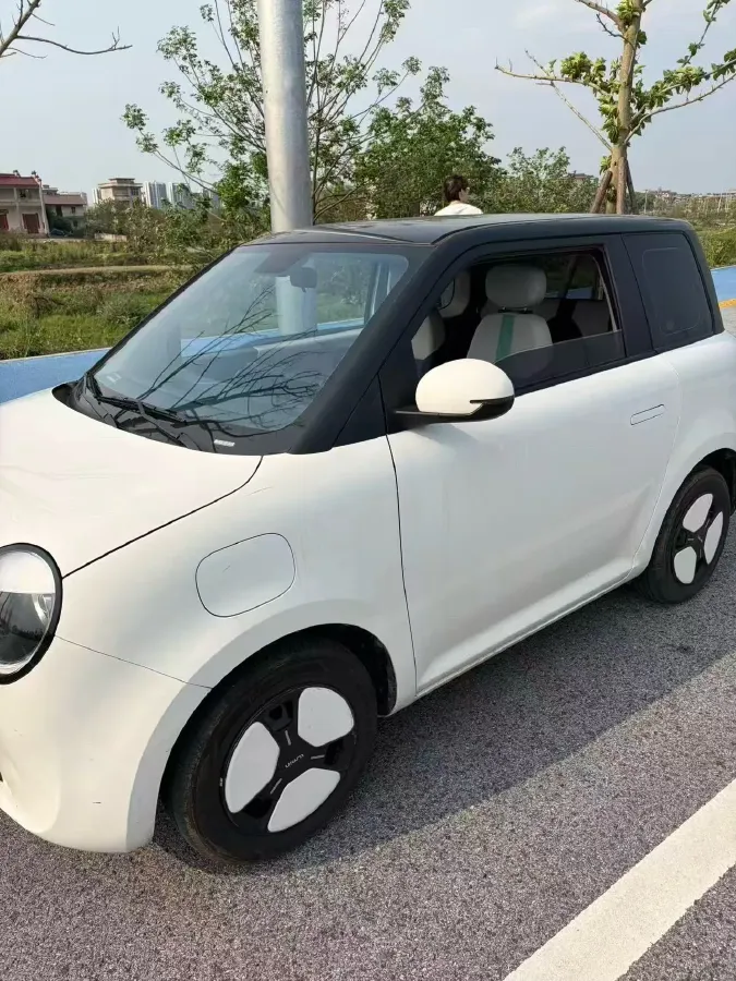 2024 ChangAn QiYuan Lumin BEV 17.65KWH,autocango,china used car exporter,china ev exporter,chinese used car exporter,chinese used ev exporter