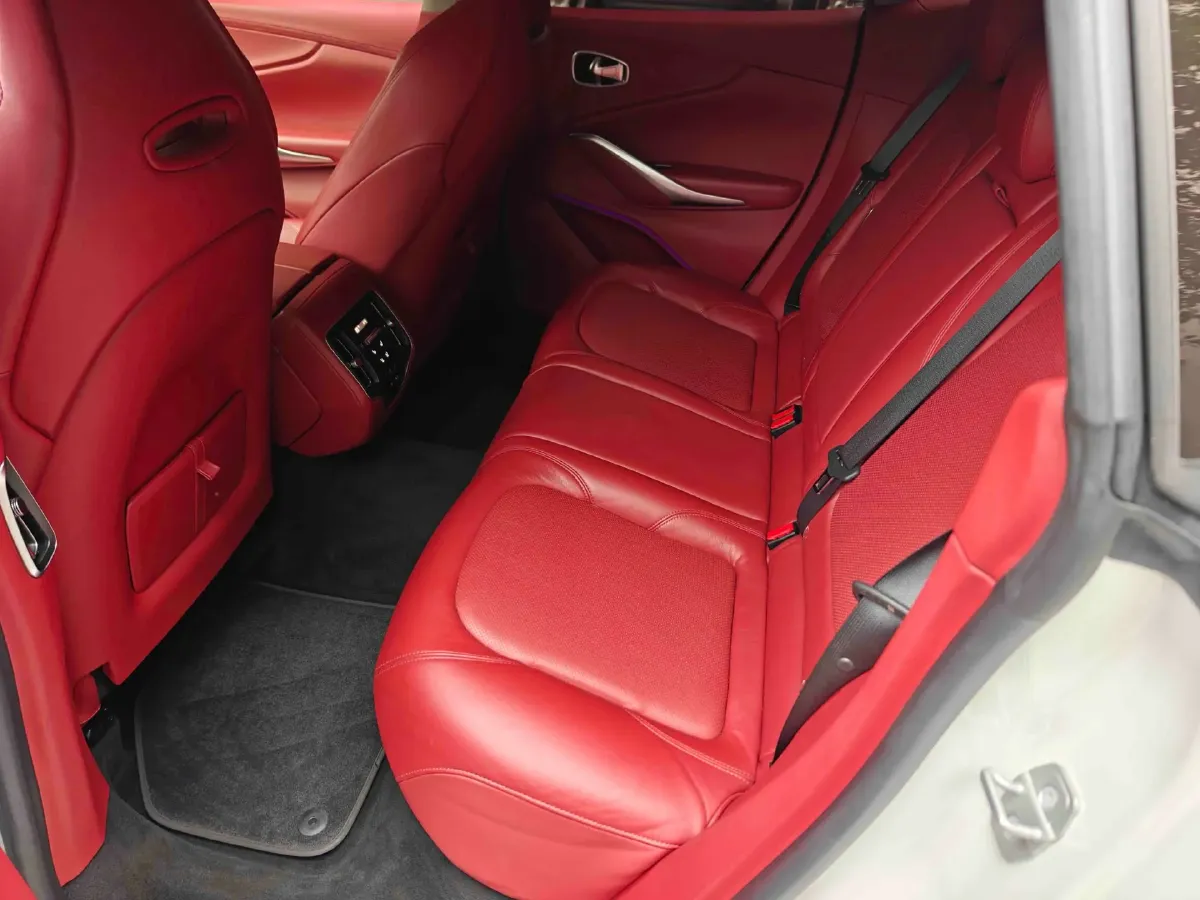 2021 Aston Martin DBX 4.0T 550HP V8 9AT,autocango,china used car exporter,china ev exporter,chinese used car exporter,chinese used ev exporter