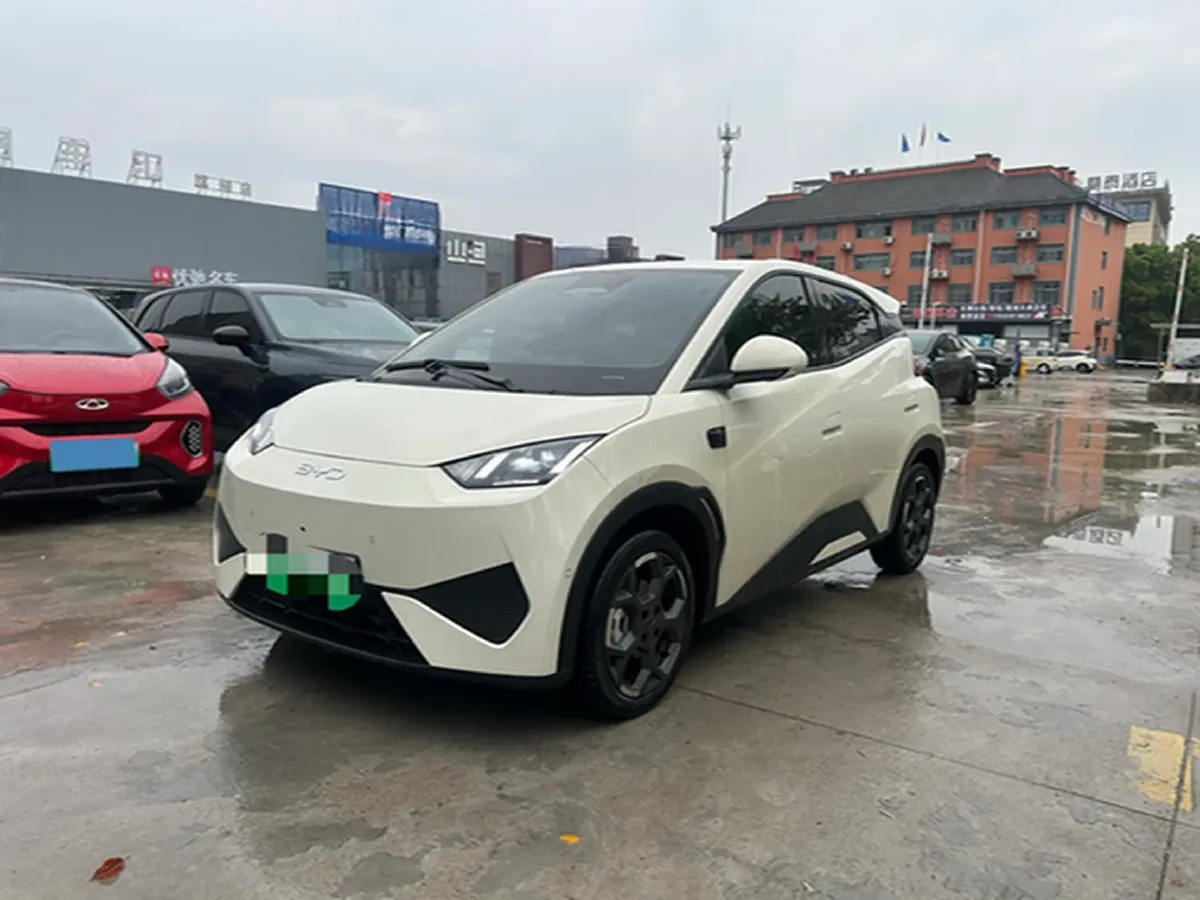2025 BYD Seagull BEV 30.08KWH,autocango,china used car exporter,china ev exporter,chinese used car exporter,chinese used ev exporter