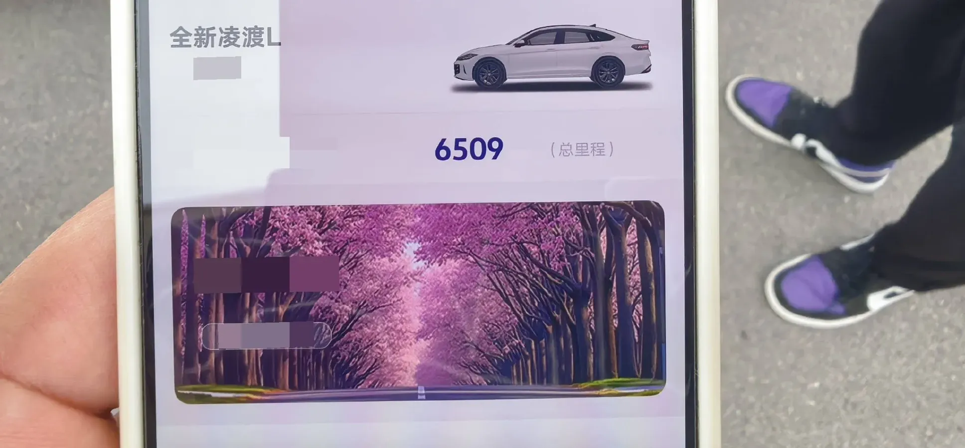 2026 Volkswagen Lamando 1.5T 160HP L4 7DCT,autocango,china used car exporter,china ev exporter,chinese used car exporter,chinese used ev exporter