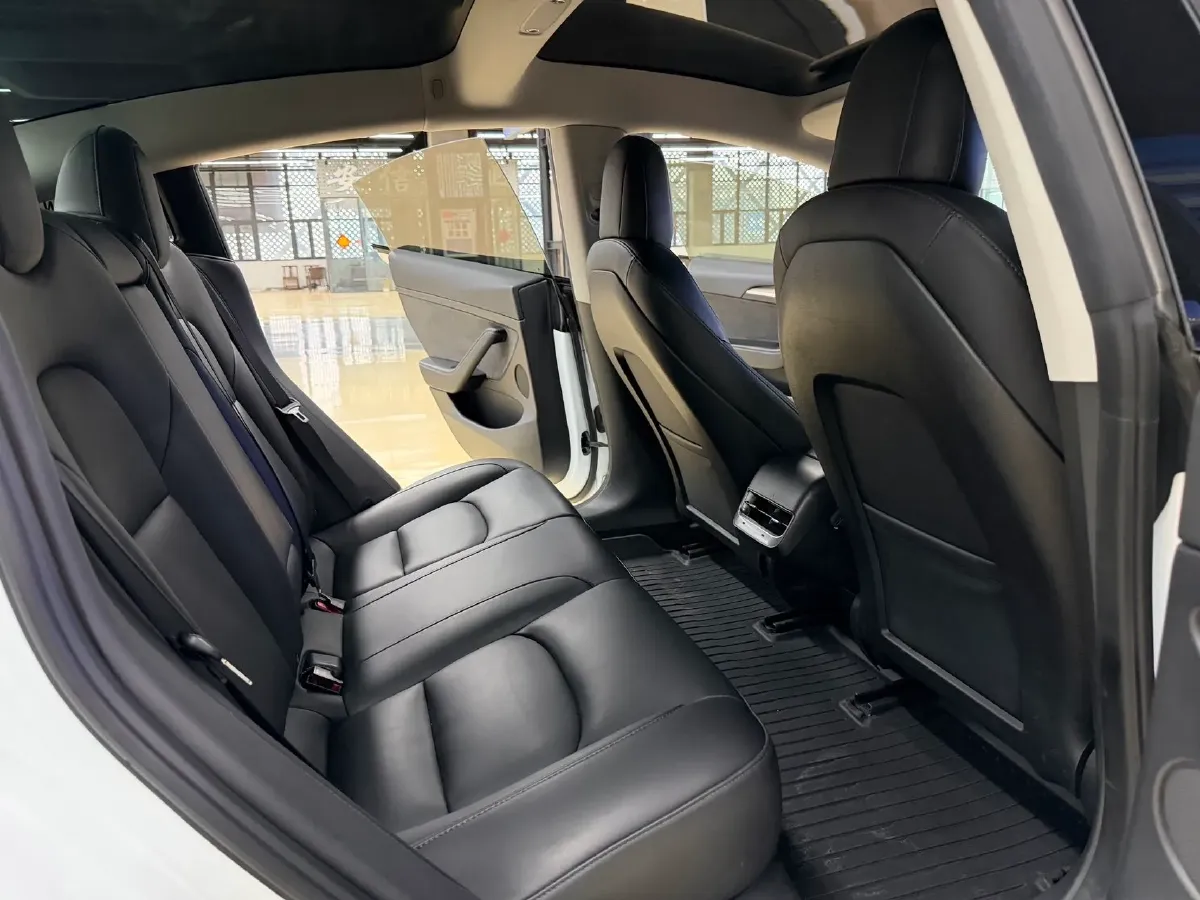 2021 Tesla Model 3 BEV 55KWH,autocango,china used car exporter,china ev exporter,chinese used car exporter,chinese used ev exporter