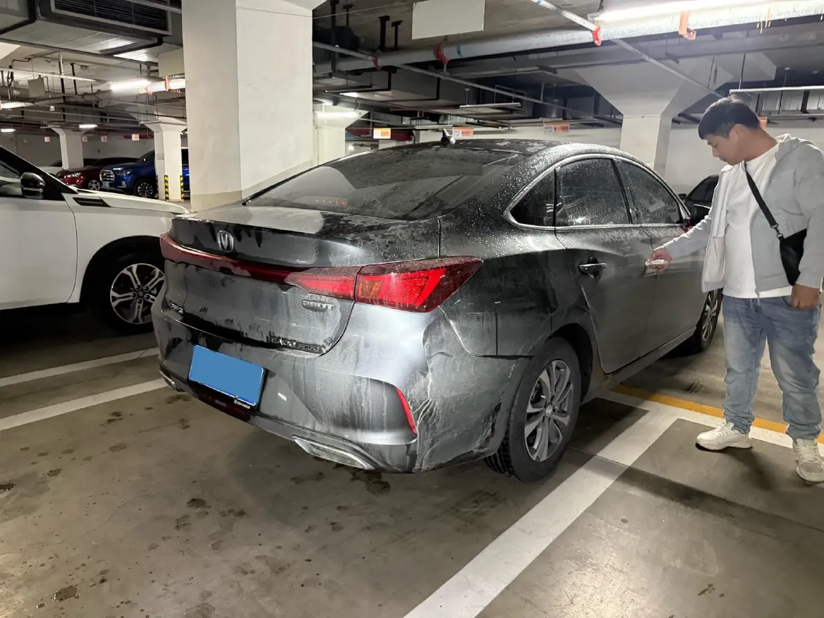 2024 ChangAn Eado 1.4T 160HP L4 7DCT,autocango,china used car exporter,china ev exporter,chinese used car exporter,chinese used ev exporter