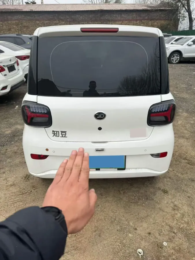 2024 ZD Rainbow BEV 17.3KWH,autocango,china used car exporter,china ev exporter,chinese used car exporter,chinese used ev exporter