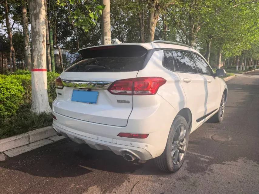2019 Haval H6 Coupe 1.5T 169HP L4 7DCT,autocango,china used car exporter,china ev exporter,chinese used car exporter,chinese used ev exporter