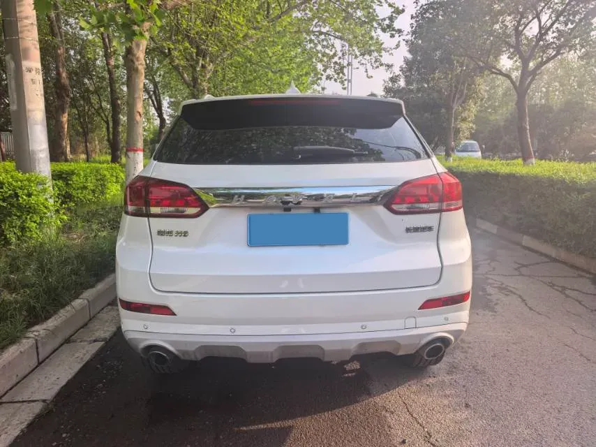 2019 Haval H6 Coupe 1.5T 169HP L4 7DCT,autocango,china used car exporter,china ev exporter,chinese used car exporter,chinese used ev exporter