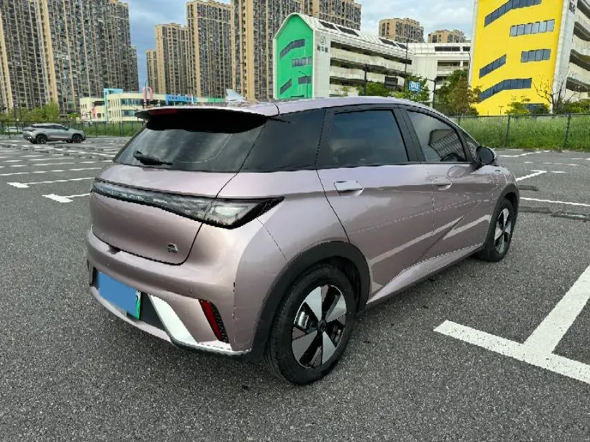 2023 BYD Dolphin BEV 44.928KWH,autocango,china used car exporter,china ev exporter,chinese used car exporter,chinese used ev exporter