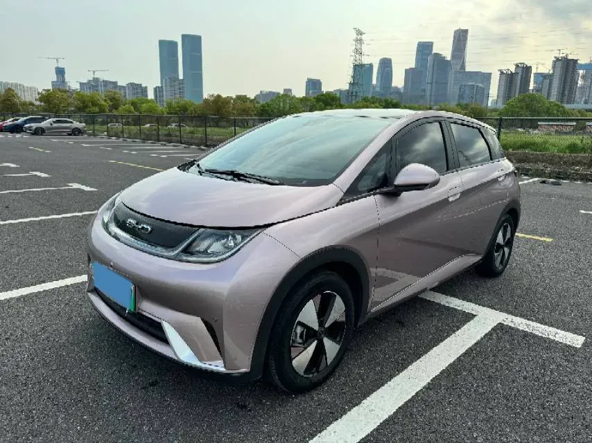 2023 BYD Dolphin BEV 44.928KWH,autocango,china used car exporter,china ev exporter,chinese used car exporter,chinese used ev exporter