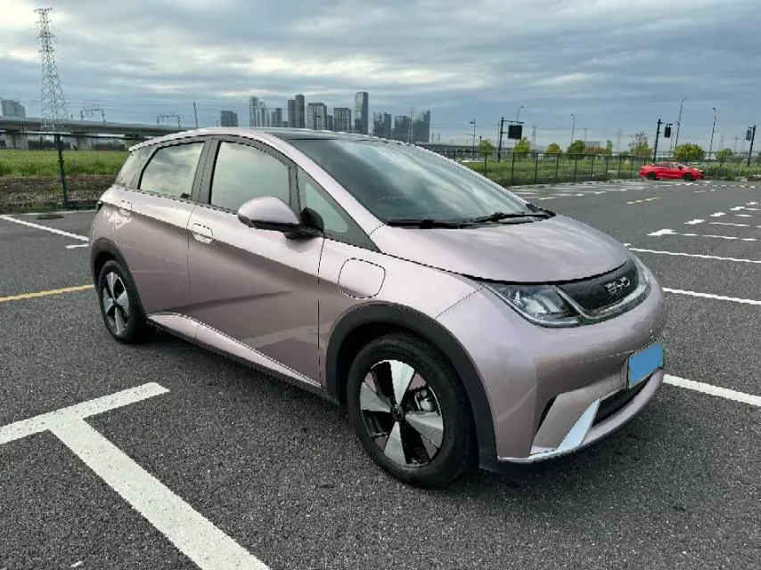 2023 BYD Dolphin BEV 44.928KWH,autocango,china used car exporter,china ev exporter,chinese used car exporter,chinese used ev exporter