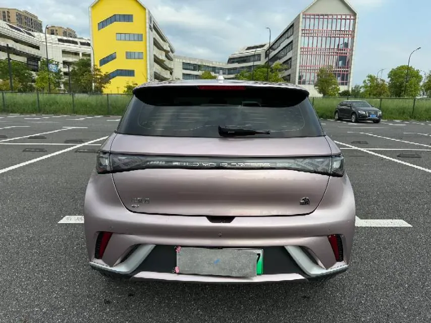 2023 BYD Dolphin BEV 44.928KWH,autocango,china used car exporter,china ev exporter,chinese used car exporter,chinese used ev exporter