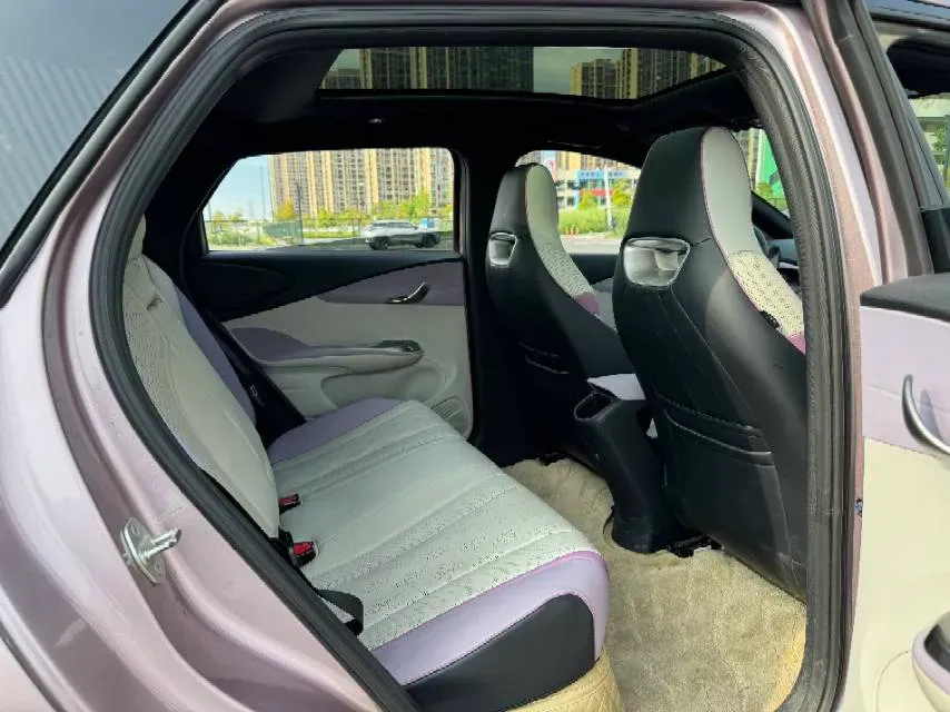 2023 BYD Dolphin BEV 44.928KWH,autocango,china used car exporter,china ev exporter,chinese used car exporter,chinese used ev exporter