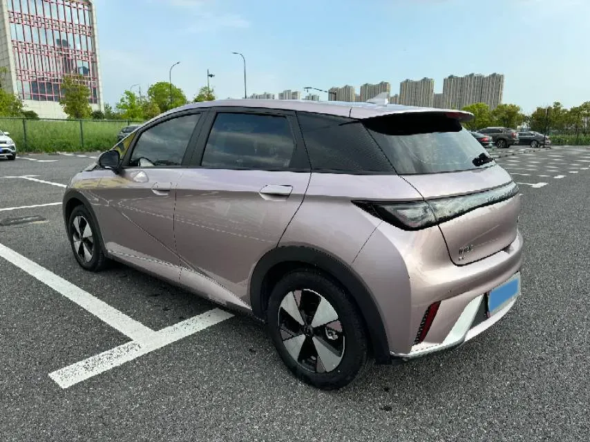 2023 BYD Dolphin BEV 44.928KWH,autocango,china used car exporter,china ev exporter,chinese used car exporter,chinese used ev exporter