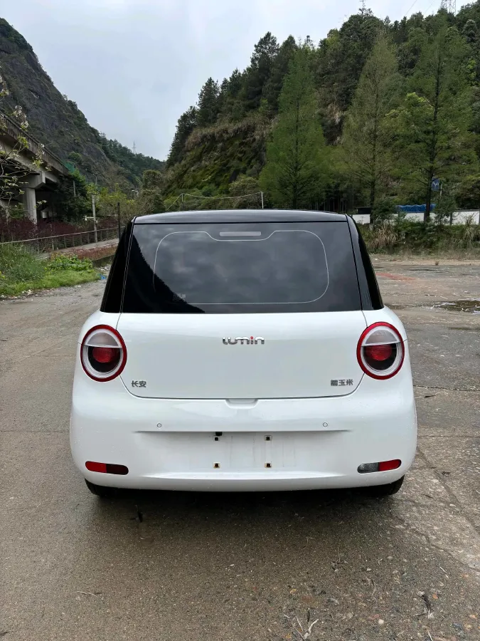 2024 ChangAn QiYuan Lumin BEV 17.65KWH,autocango,china used car exporter,china ev exporter,chinese used car exporter,chinese used ev exporter