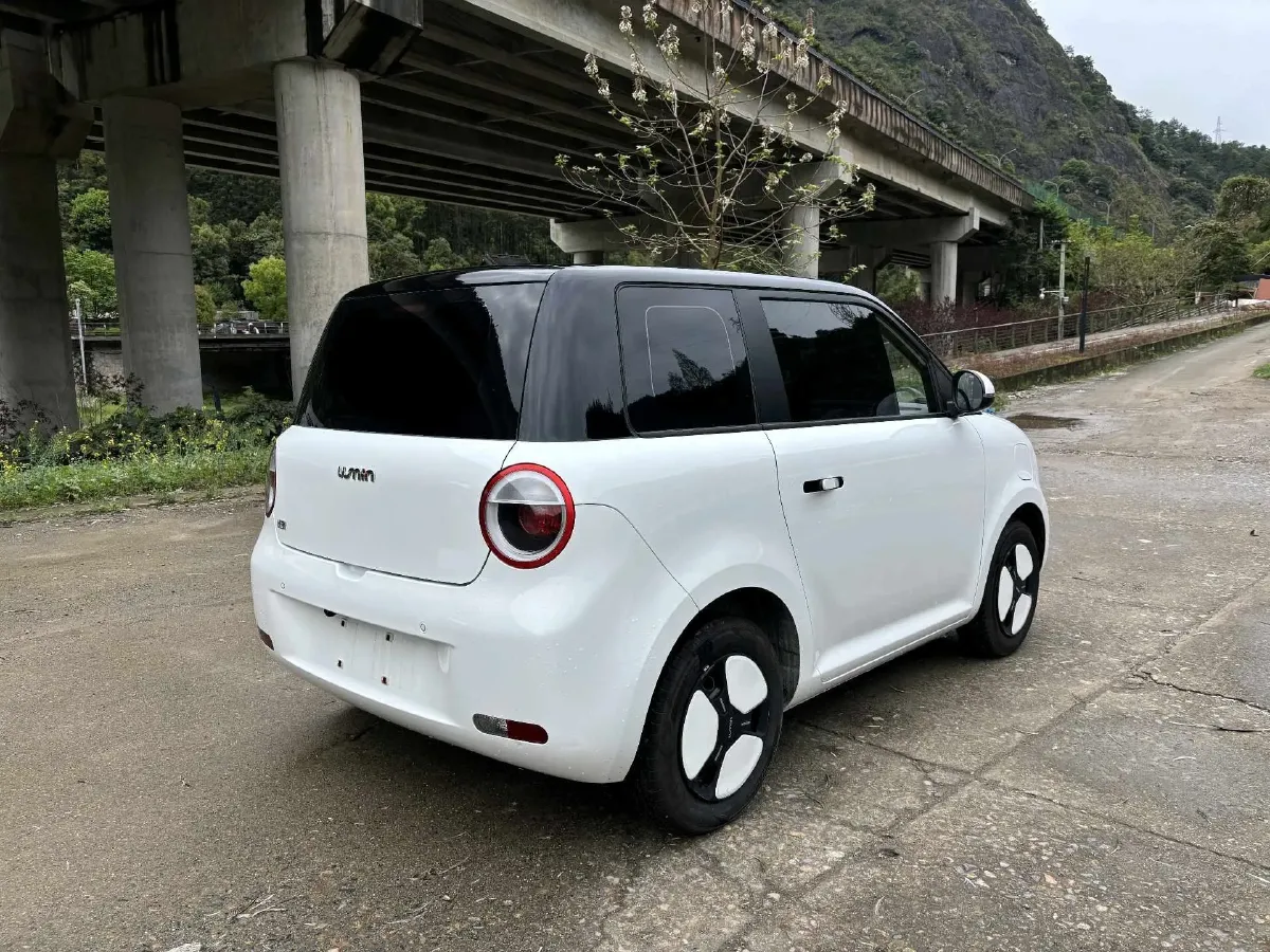 2024 ChangAn QiYuan Lumin BEV 17.65KWH,autocango,china used car exporter,china ev exporter,chinese used car exporter,chinese used ev exporter