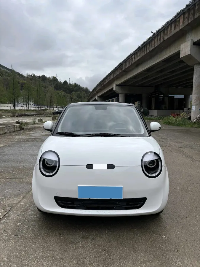 2024 ChangAn QiYuan Lumin BEV 17.65KWH,autocango,china used car exporter,china ev exporter,chinese used car exporter,chinese used ev exporter