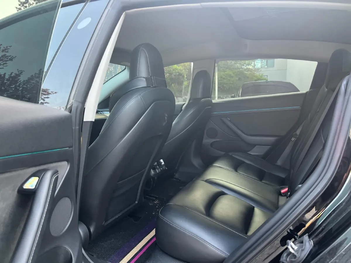 2021 Tesla Model 3 BEV 55KWH,autocango,china used car exporter,china ev exporter,chinese used car exporter,chinese used ev exporter