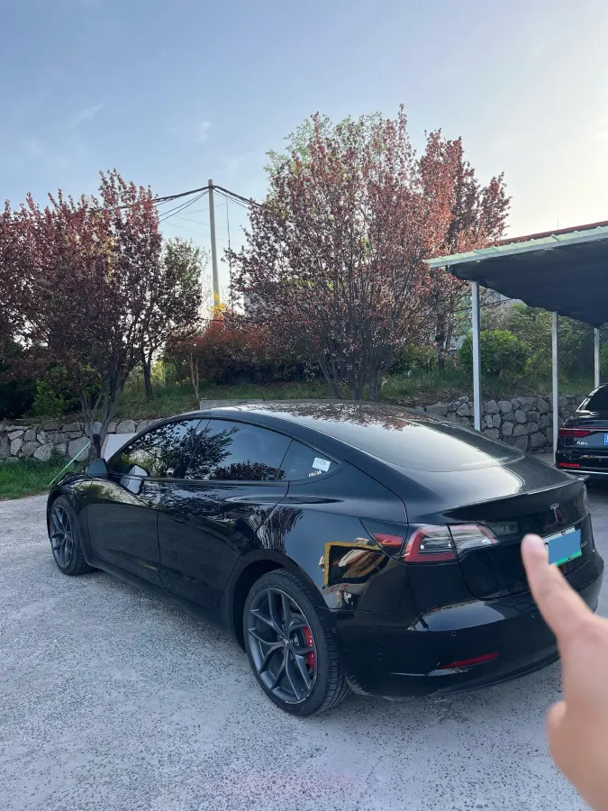 2021 Tesla Model 3 BEV 55KWH,autocango,china used car exporter,china ev exporter,chinese used car exporter,chinese used ev exporter