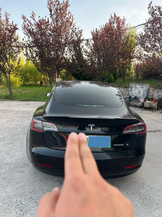 2021 Tesla Model 3 BEV 55KWH,autocango,china used car exporter,china ev exporter,chinese used car exporter,chinese used ev exporter