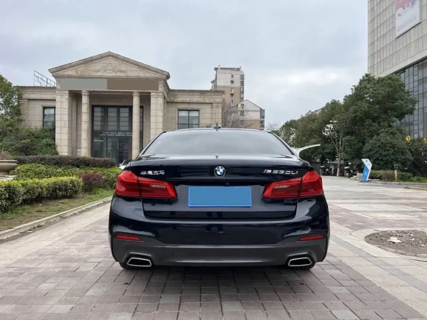 2020 BMW 5 Series 2.0T 184HP L4 8AT,autocango,china used car exporter,china ev exporter,chinese used car exporter,chinese used ev exporter