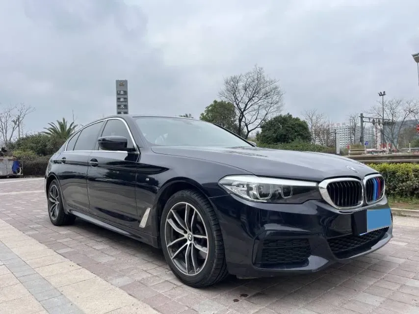 2020 BMW 5 Series 2.0T 184HP L4 8AT,autocango,china used car exporter,china ev exporter,chinese used car exporter,chinese used ev exporter
