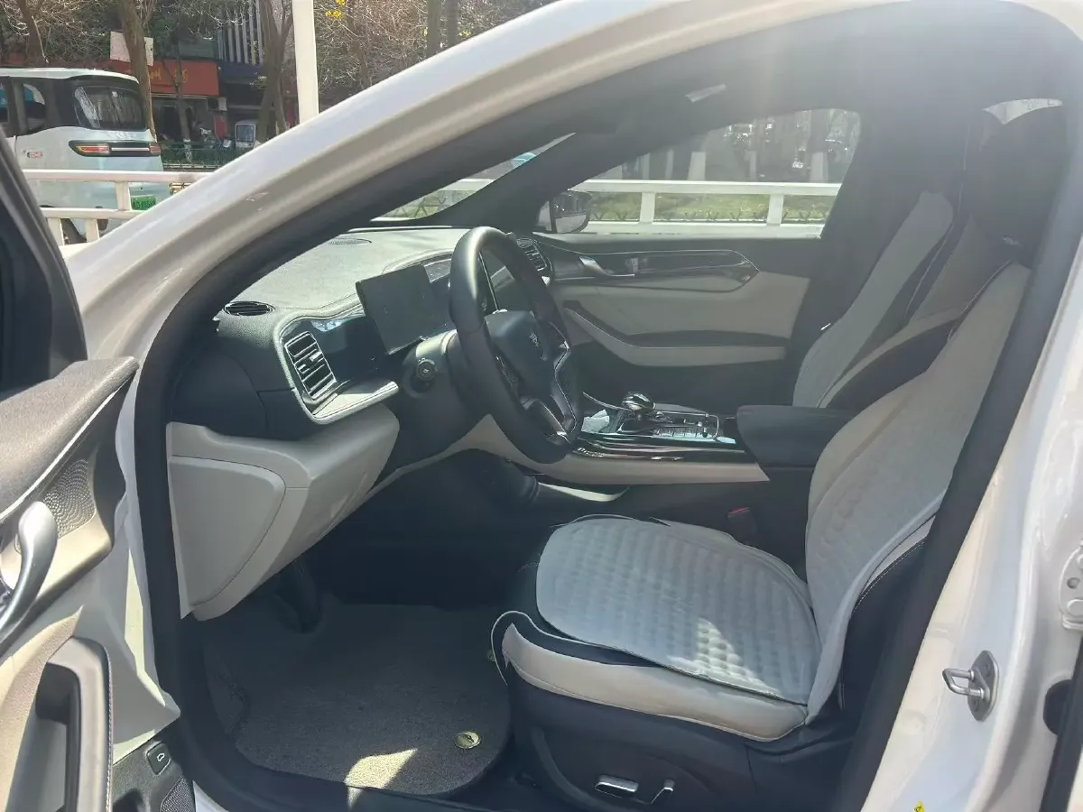 2023 BYD Qin Plus BEV 48KWH,autocango,china used car exporter,china ev exporter,chinese used car exporter,chinese used ev exporter