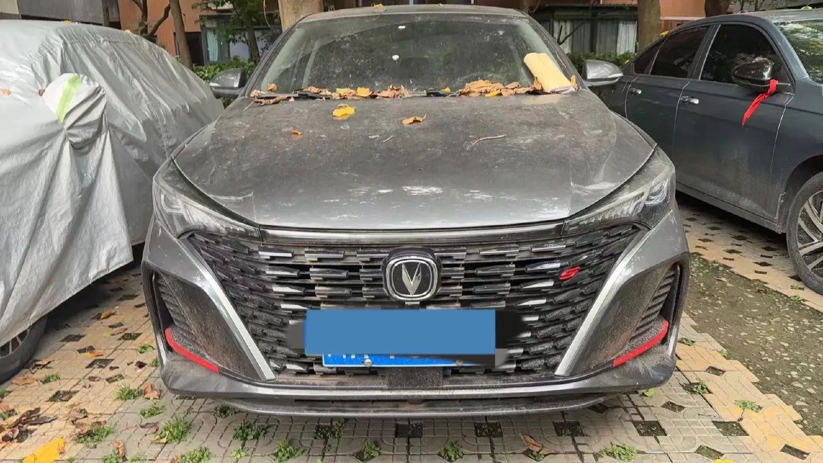 2023 ChangAn Eado 1.4T 160HP L4 7DCT,autocango,china used car exporter,china ev exporter,chinese used car exporter,chinese used ev exporter