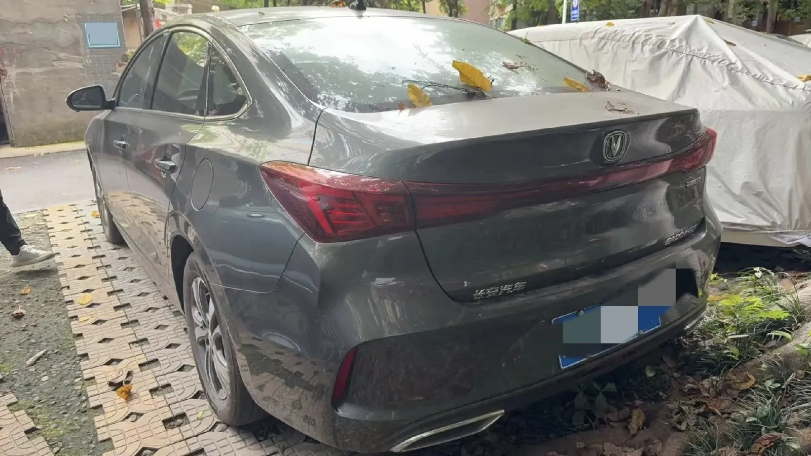 2023 ChangAn Eado 1.4T 160HP L4 7DCT,autocango,china used car exporter,china ev exporter,chinese used car exporter,chinese used ev exporter