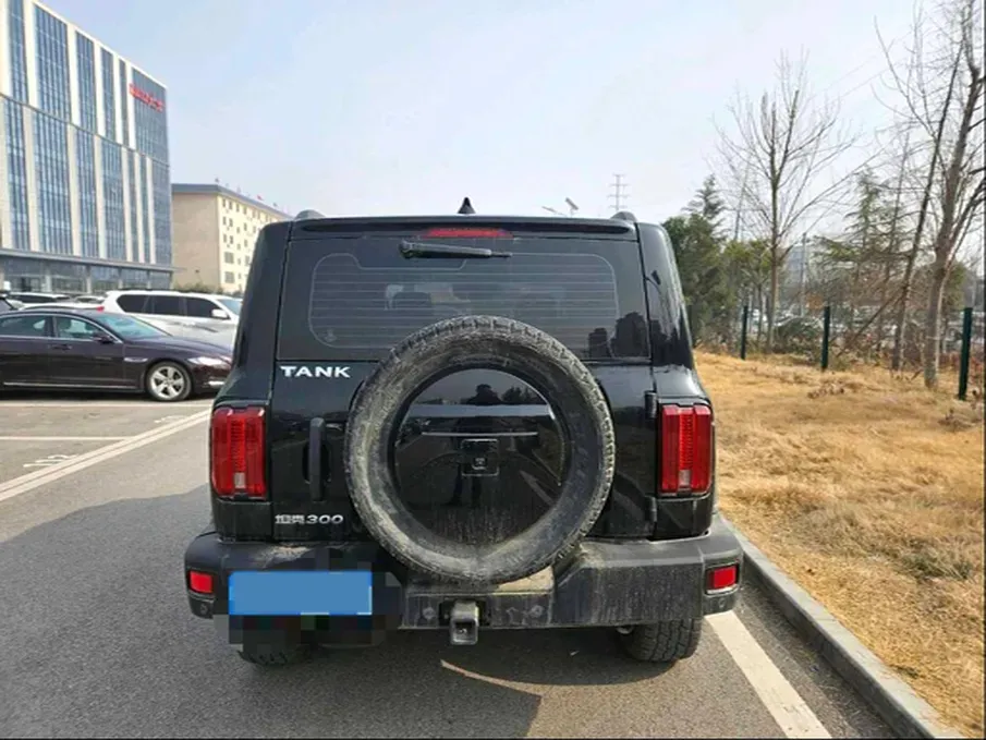 2023 Tank 300 2.0T 227HP L4 8AT,autocango,china used car exporter,china ev exporter,chinese used car exporter,chinese used ev exporter