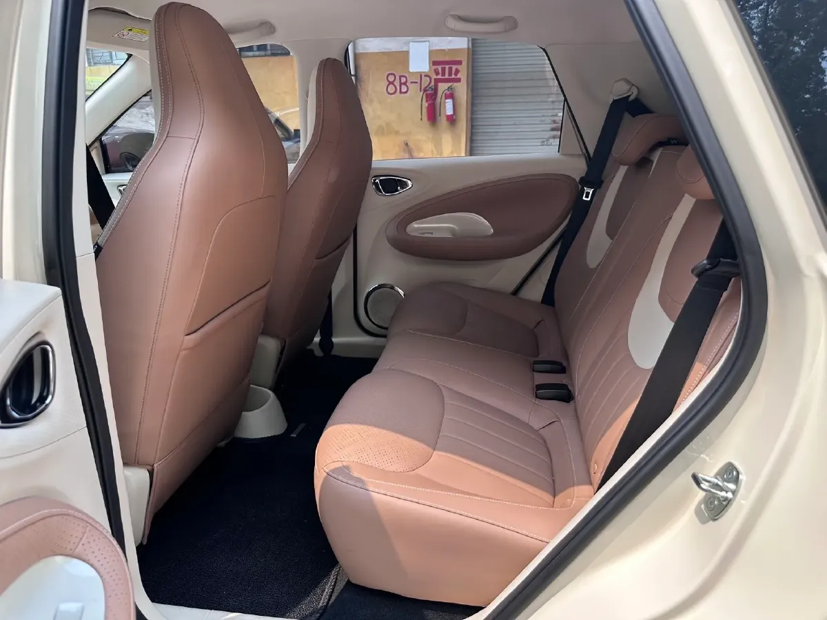 2025 WuLing BinGuo BEV,autocango,china used car exporter,china ev exporter,chinese used car exporter,chinese used ev exporter