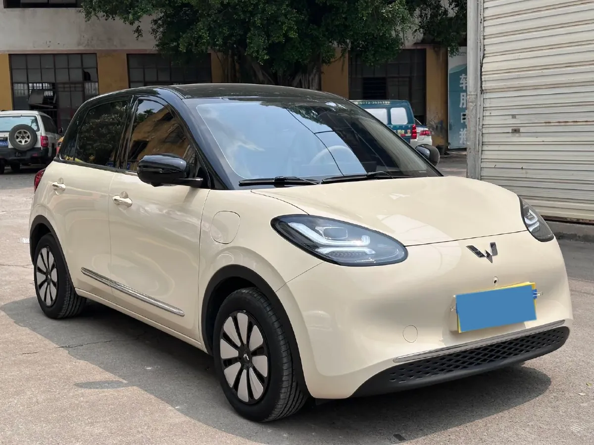 2025 WuLing BinGuo BEV,autocango,china used car exporter,china ev exporter,chinese used car exporter,chinese used ev exporter