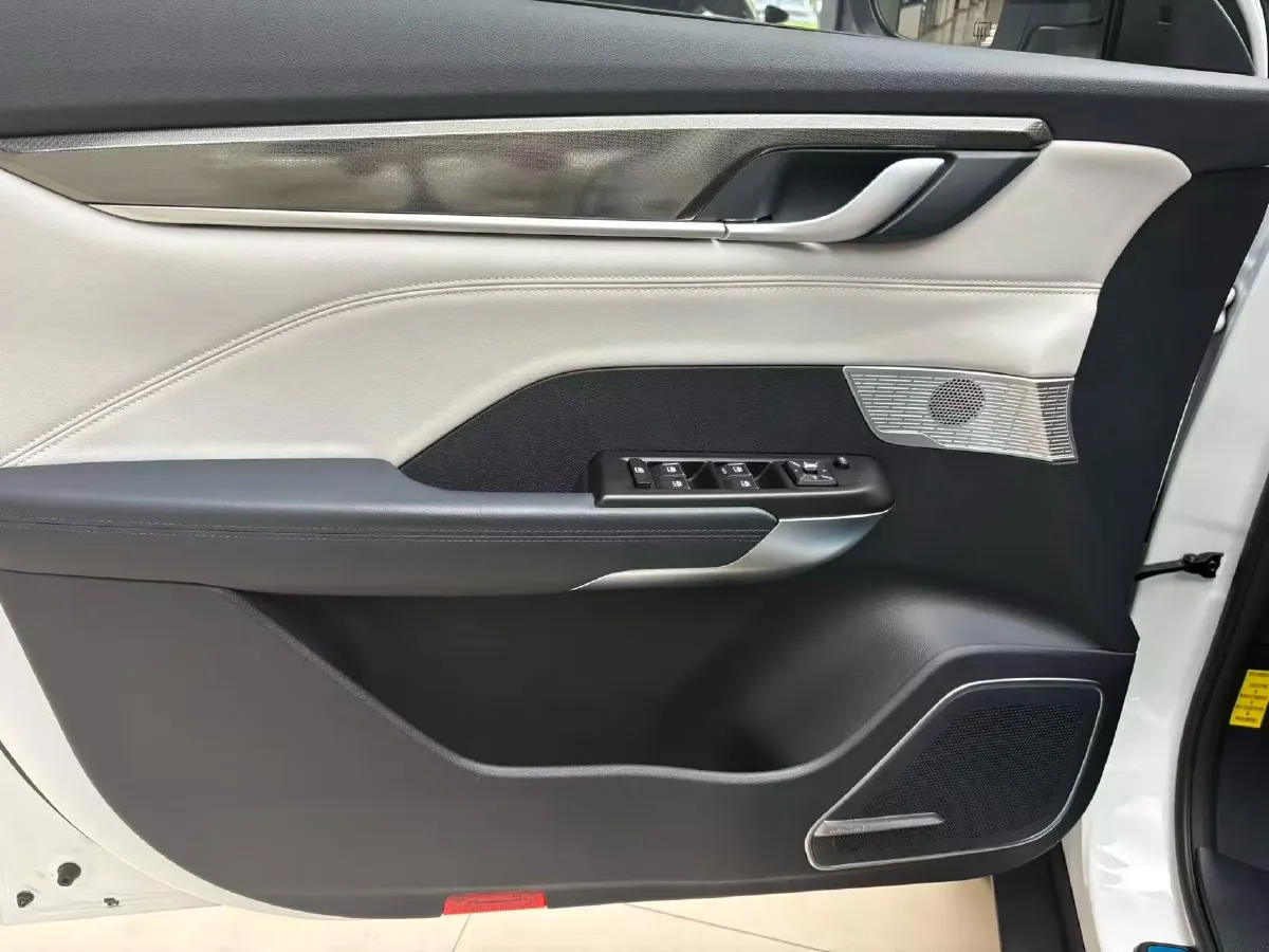 2019 Weltmeister EX5 BEV 69KWH,autocango,china used car exporter,china ev exporter,chinese used car exporter,chinese used ev exporter