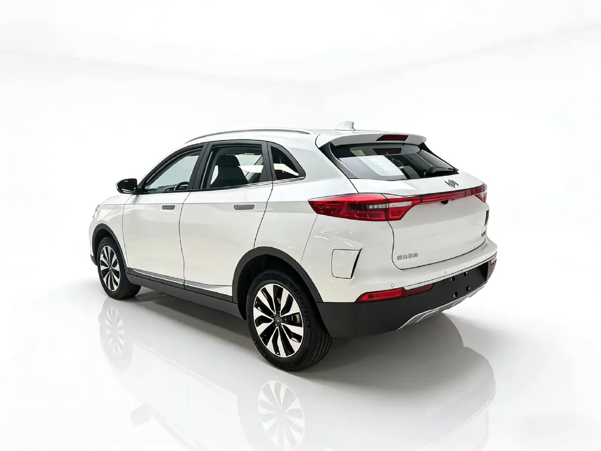 2019 Weltmeister EX5 BEV 69KWH,autocango,china used car exporter,china ev exporter,chinese used car exporter,chinese used ev exporter