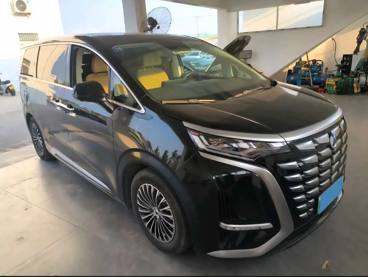 2024 Denza D9 1.5T 139HP L4 E-CVT PHEV 20.39KWH,autocango,china used car exporter,china ev exporter,chinese used car exporter,chinese used ev exporter