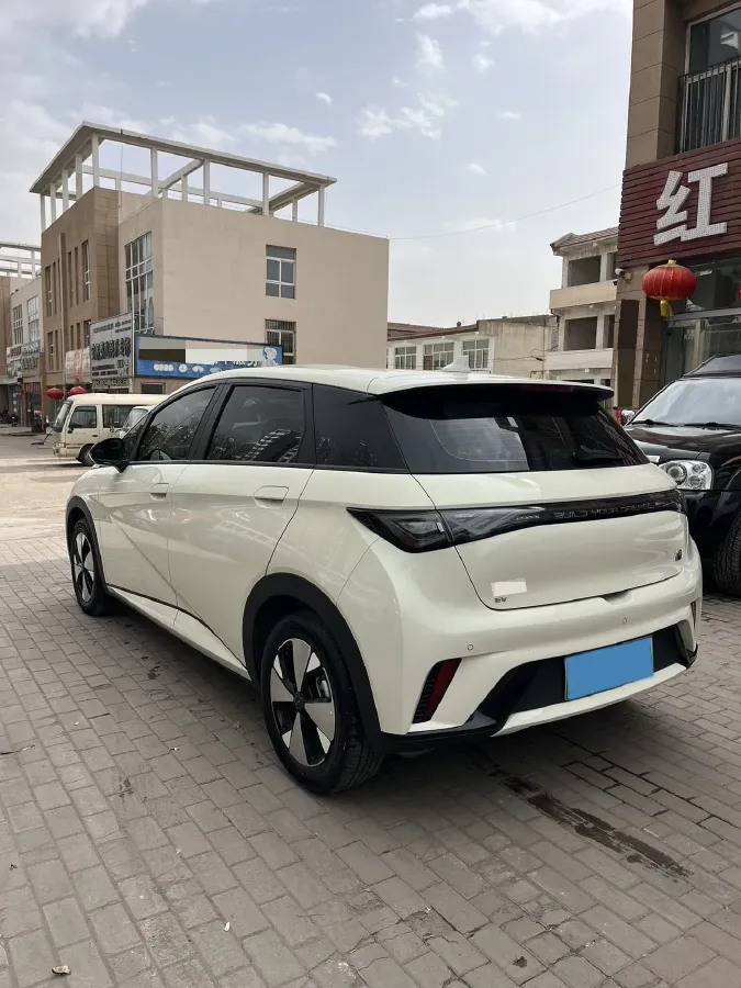 2023 BYD Dolphin BEV 44.928KWH,autocango,china used car exporter,china ev exporter,chinese used car exporter,chinese used ev exporter