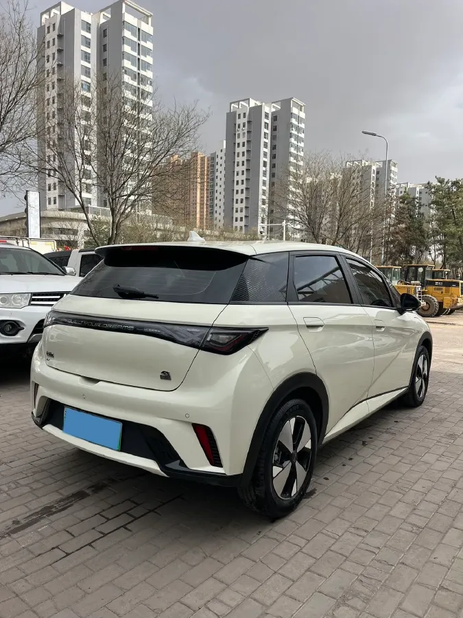 2023 BYD Dolphin BEV 44.928KWH,autocango,china used car exporter,china ev exporter,chinese used car exporter,chinese used ev exporter