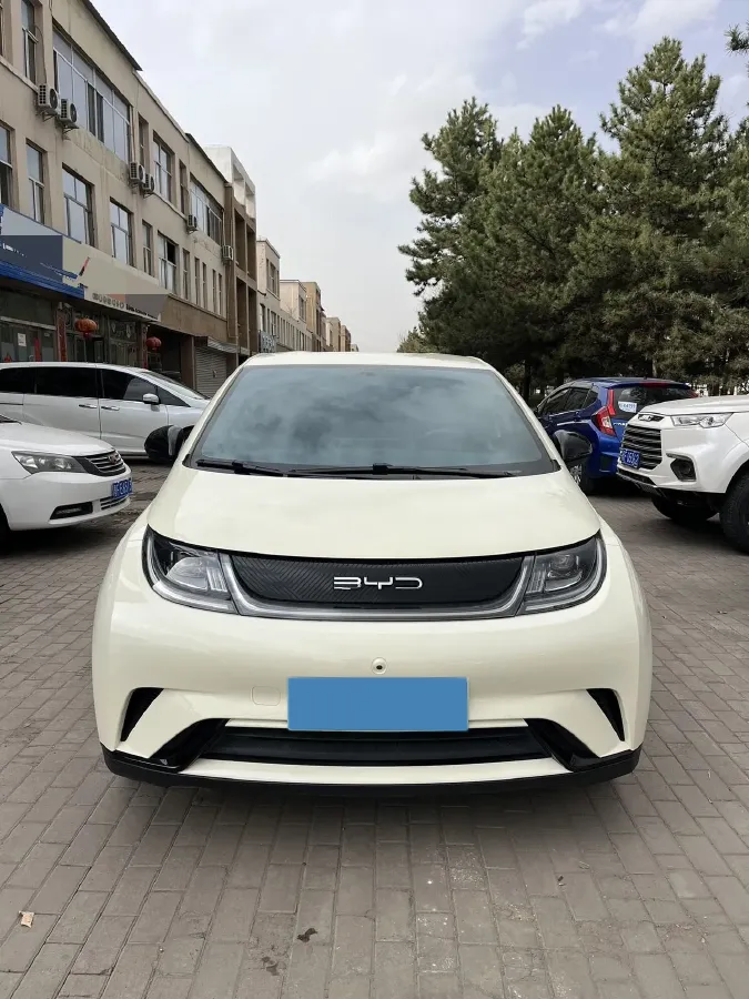 2023 BYD Dolphin BEV 44.928KWH,autocango,china used car exporter,china ev exporter,chinese used car exporter,chinese used ev exporter