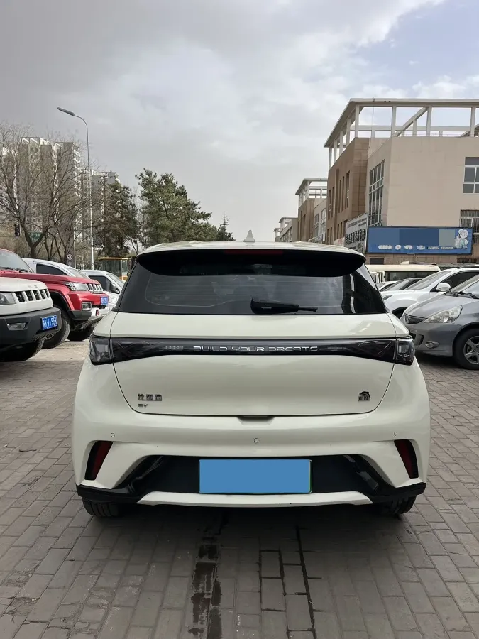 2023 BYD Dolphin BEV 44.928KWH,autocango,china used car exporter,china ev exporter,chinese used car exporter,chinese used ev exporter