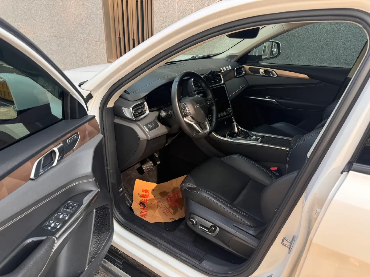 2019 Beijing BJ40 2.0T 218HP L4 6AT,autocango,china used car exporter,china ev exporter,chinese used car exporter,chinese used ev exporter