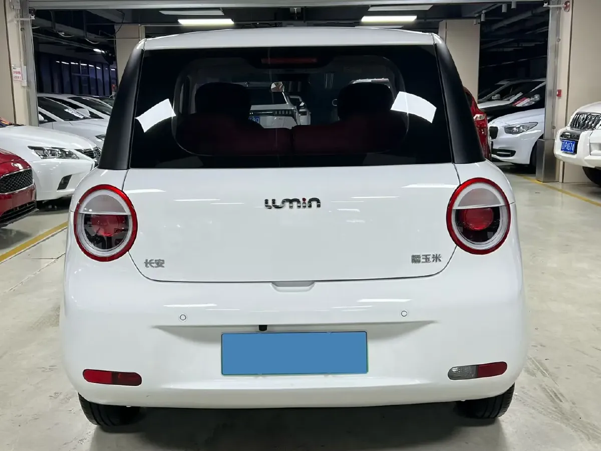 2023 ChangAn QiYuan Lumin BEV 28.08KWH,autocango,china used car exporter,china ev exporter,chinese used car exporter,chinese used ev exporter