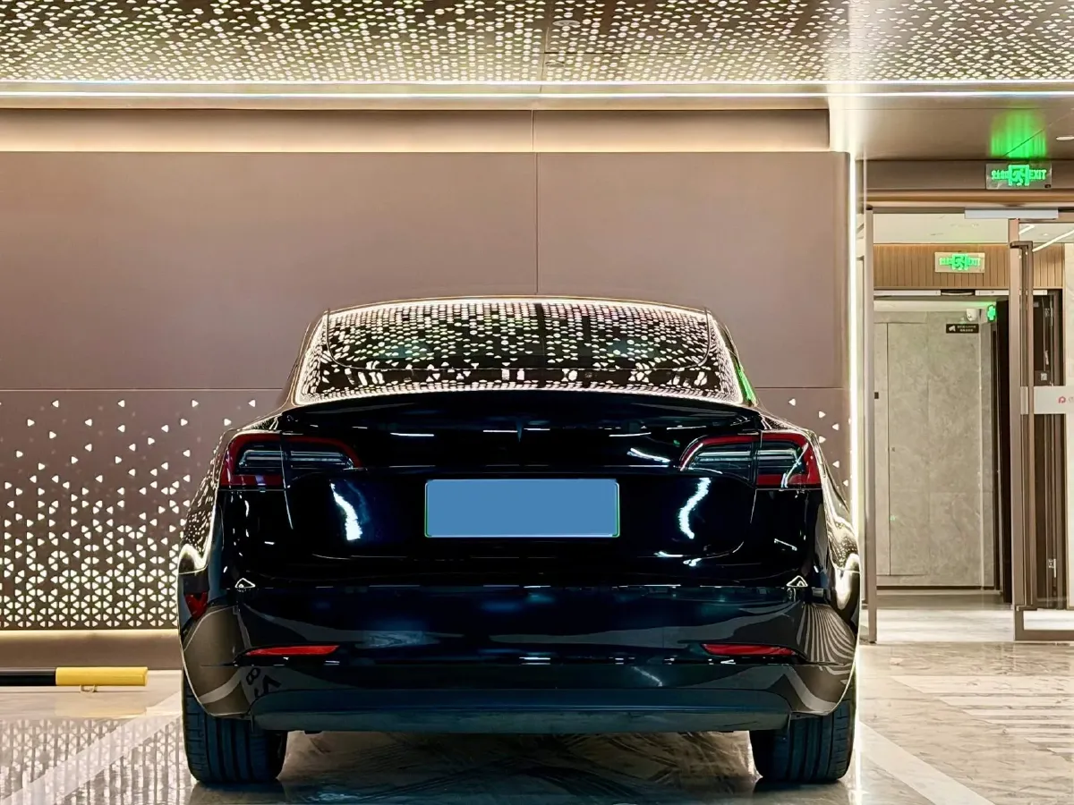 2021 Tesla Model 3 BEV 76.8KWH,autocango,china used car exporter,china ev exporter,chinese used car exporter,chinese used ev exporter