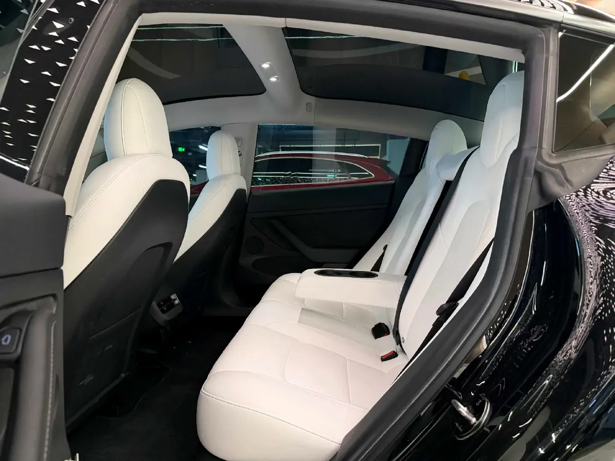 2021 Tesla Model 3 BEV 76.8KWH,autocango,china used car exporter,china ev exporter,chinese used car exporter,chinese used ev exporter