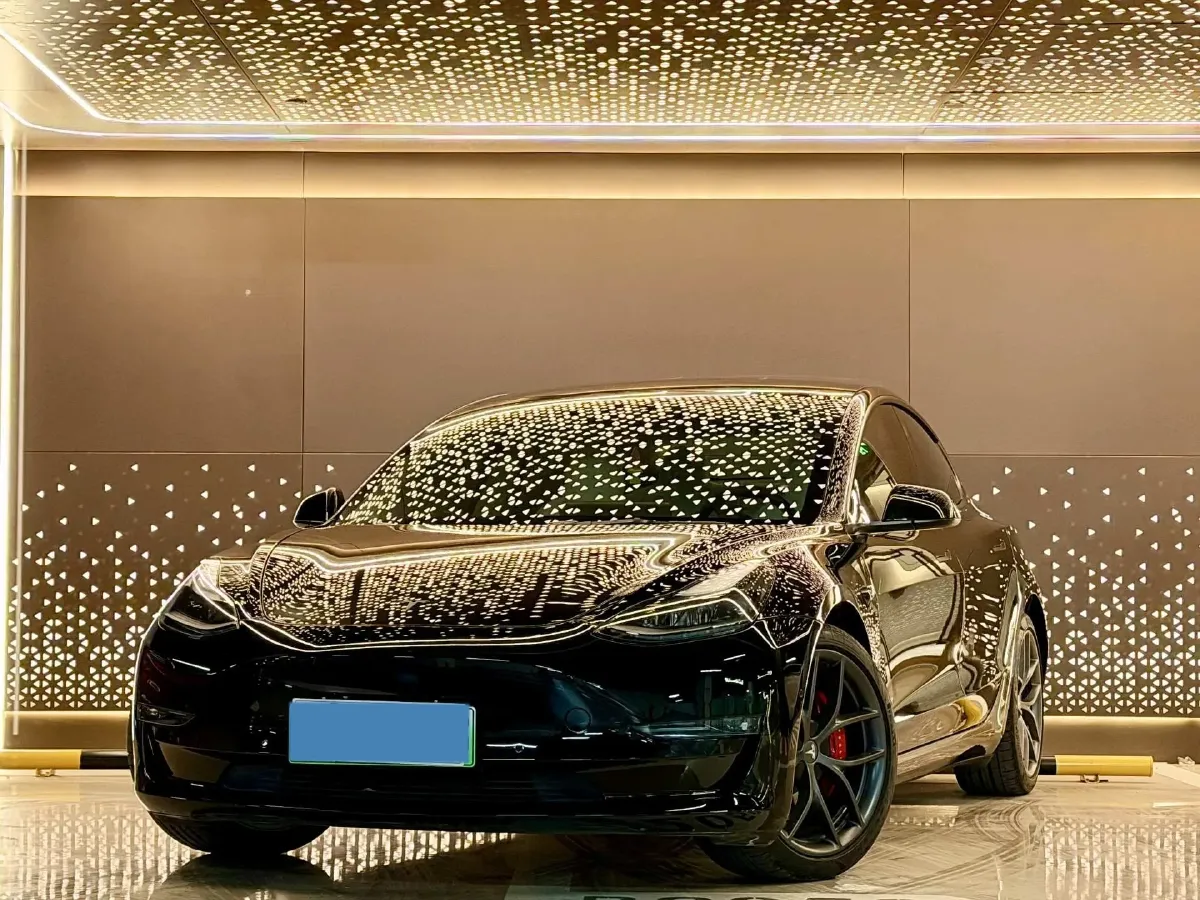 2021 Tesla Model 3 BEV 76.8KWH,autocango,china used car exporter,china ev exporter,chinese used car exporter,chinese used ev exporter