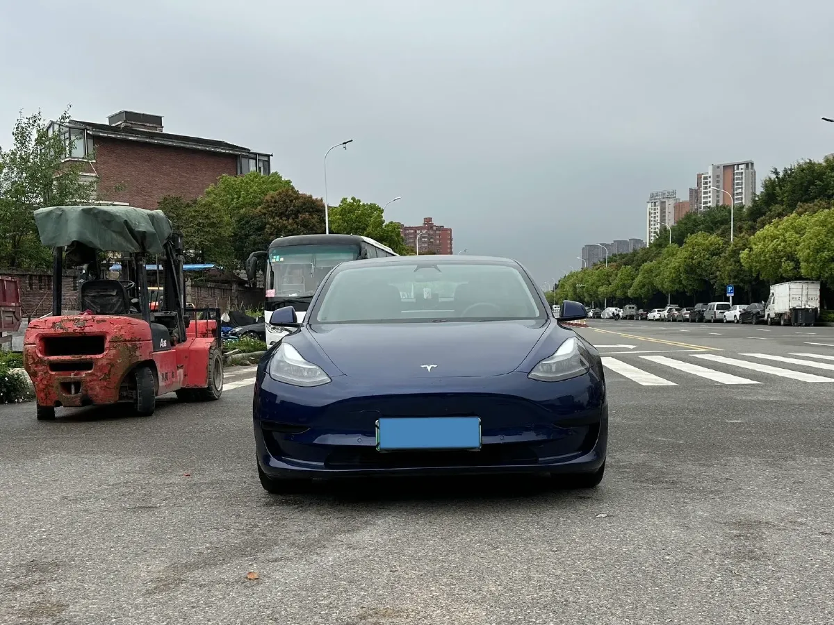 2021 Tesla Model 3 BEV 55KWH,autocango,china used car exporter,china ev exporter,chinese used car exporter,chinese used ev exporter