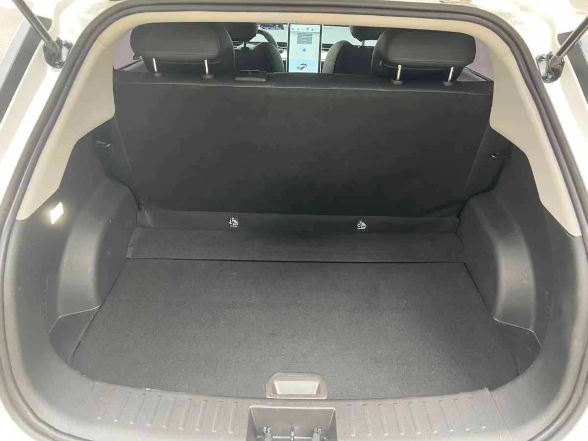 2021 Neta V BEV 38.54KWH,autocango,china used car exporter,china ev exporter,chinese used car exporter,chinese used ev exporter