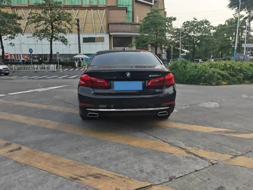 2020 BMW 5 Series 2.0T 252HP L4 8AT,autocango,china used car exporter,china ev exporter,chinese used car exporter,chinese used ev exporter