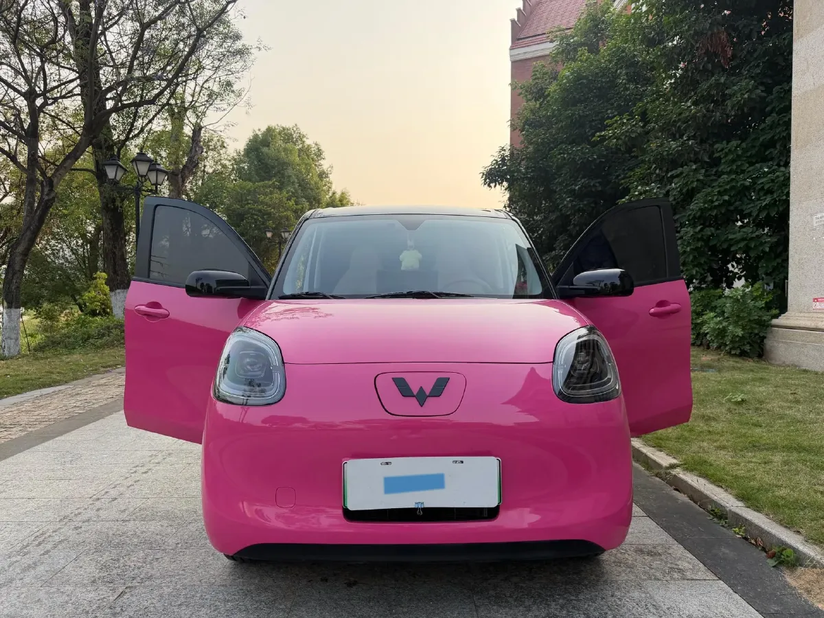 2025 WuLing HongGuang MINI EV BEV 16.2KWH,autocango,china used car exporter,china ev exporter,chinese used car exporter,chinese used ev exporter