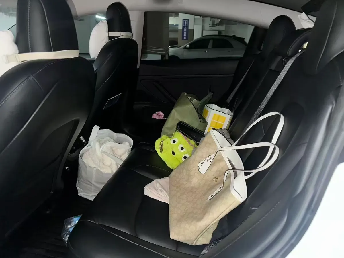 2020 Tesla Model 3 BEV 55KWH,autocango,china used car exporter,china ev exporter,chinese used car exporter,chinese used ev exporter