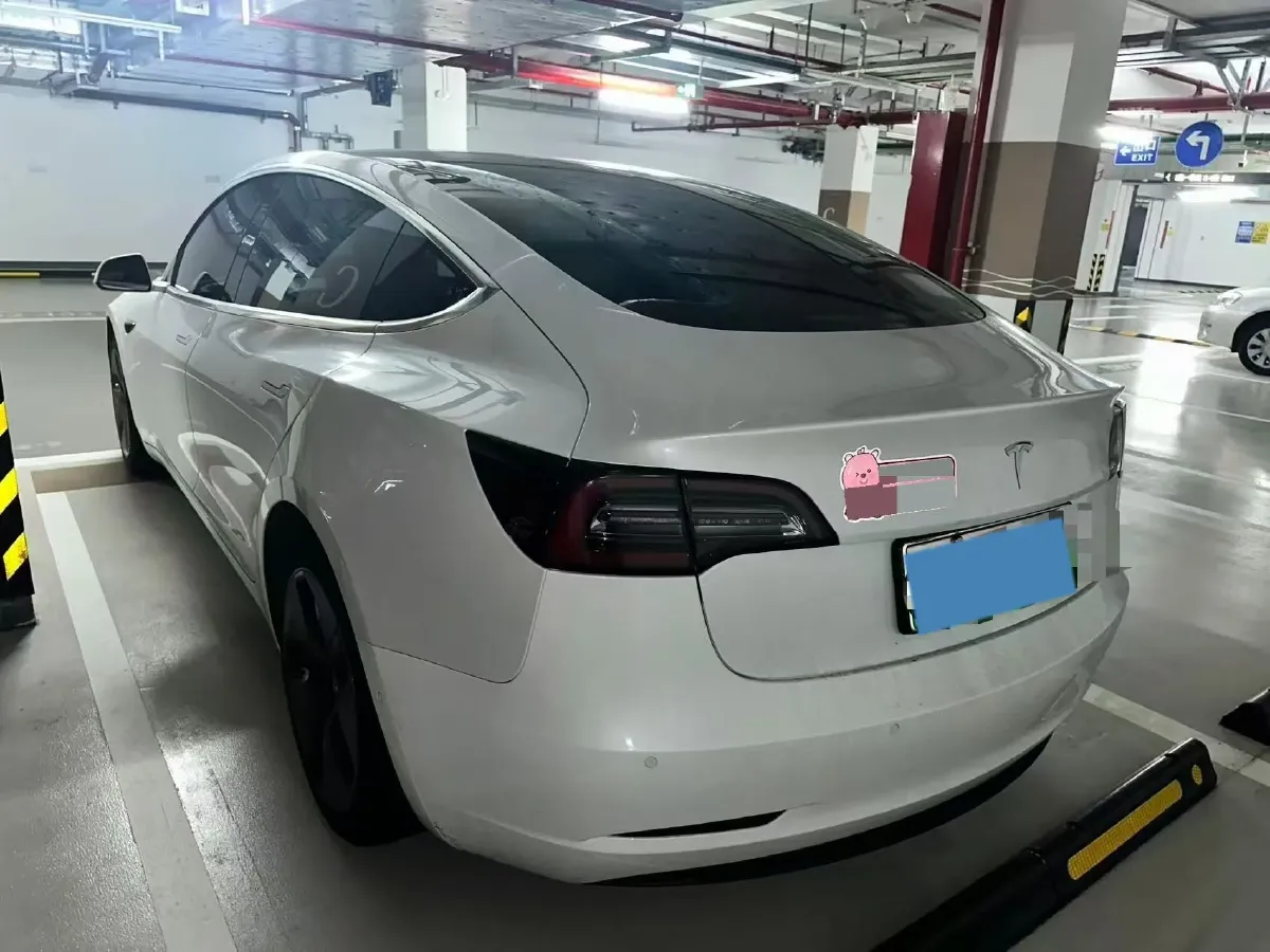 2020 Tesla Model 3 BEV 55KWH,autocango,china used car exporter,china ev exporter,chinese used car exporter,chinese used ev exporter